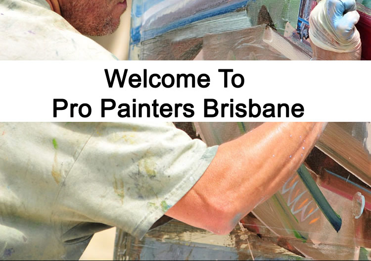 Welcome to Pro painters Brisbane 